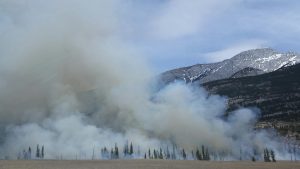 Wildfire smoke